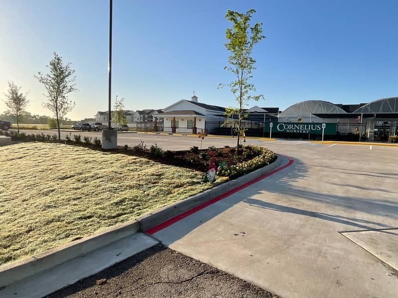 warwick construction cornelius spring tx